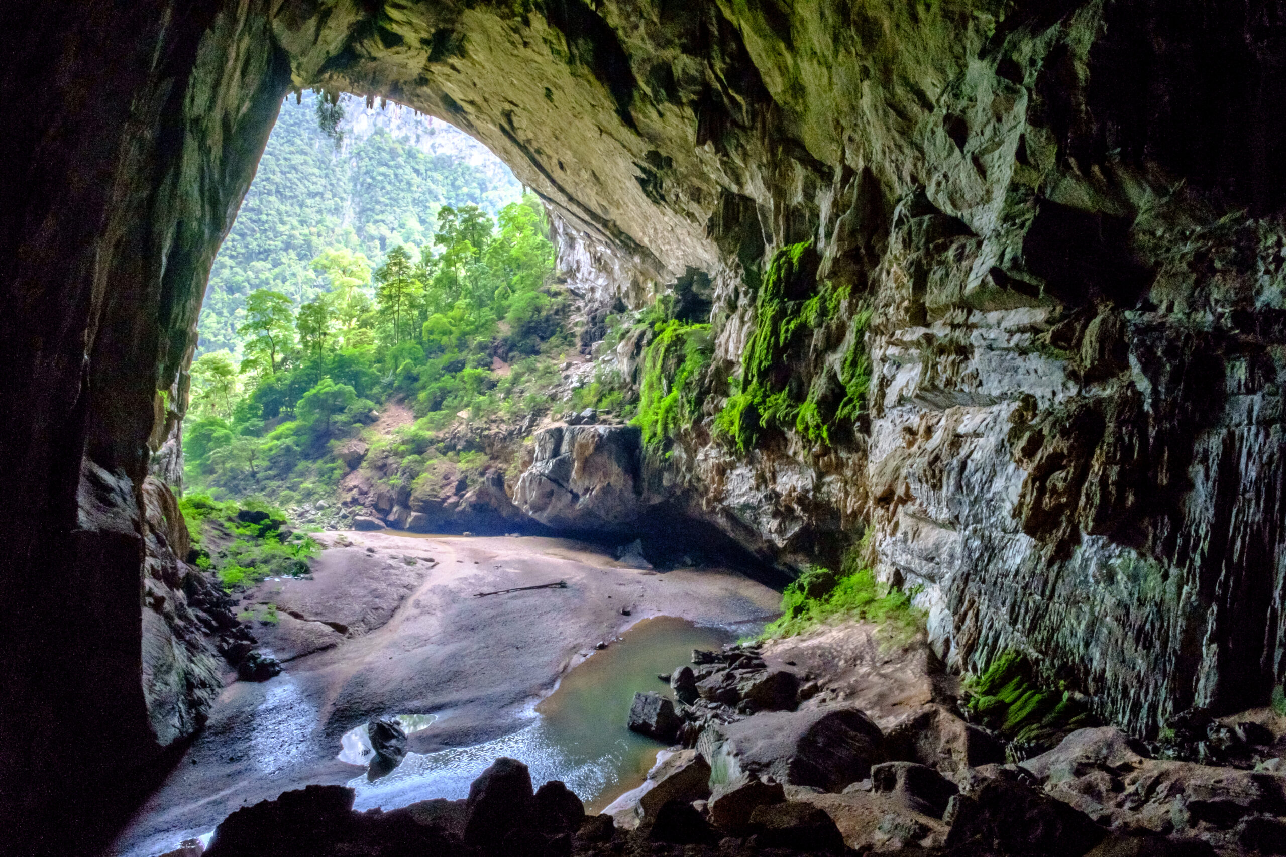 Hang Én là một hang động nằm trong vườn quốc gia Phong Nha-Kẻ Bàng, tỉnh Quảng Bình, Bắc Trung Bộ, Việt Nam. Hang Én có chiều dài hơn 1,6 km, gồm 3 cửa. Trần hang có nơi cao 100 m, nơi rộng nhất 170 m. Đây là hang động lớn thứ 3 thế giới sau hang Sơn Đoòng (Việt Nam) và hang Deer (Malaysia). Trong lòng hang có con suối trong xanh chảy quanh co, uốn lượn dẫn đến núi Sơn Đoòng làm nên vẻ kì thú của thiên nhiên nơi đây.